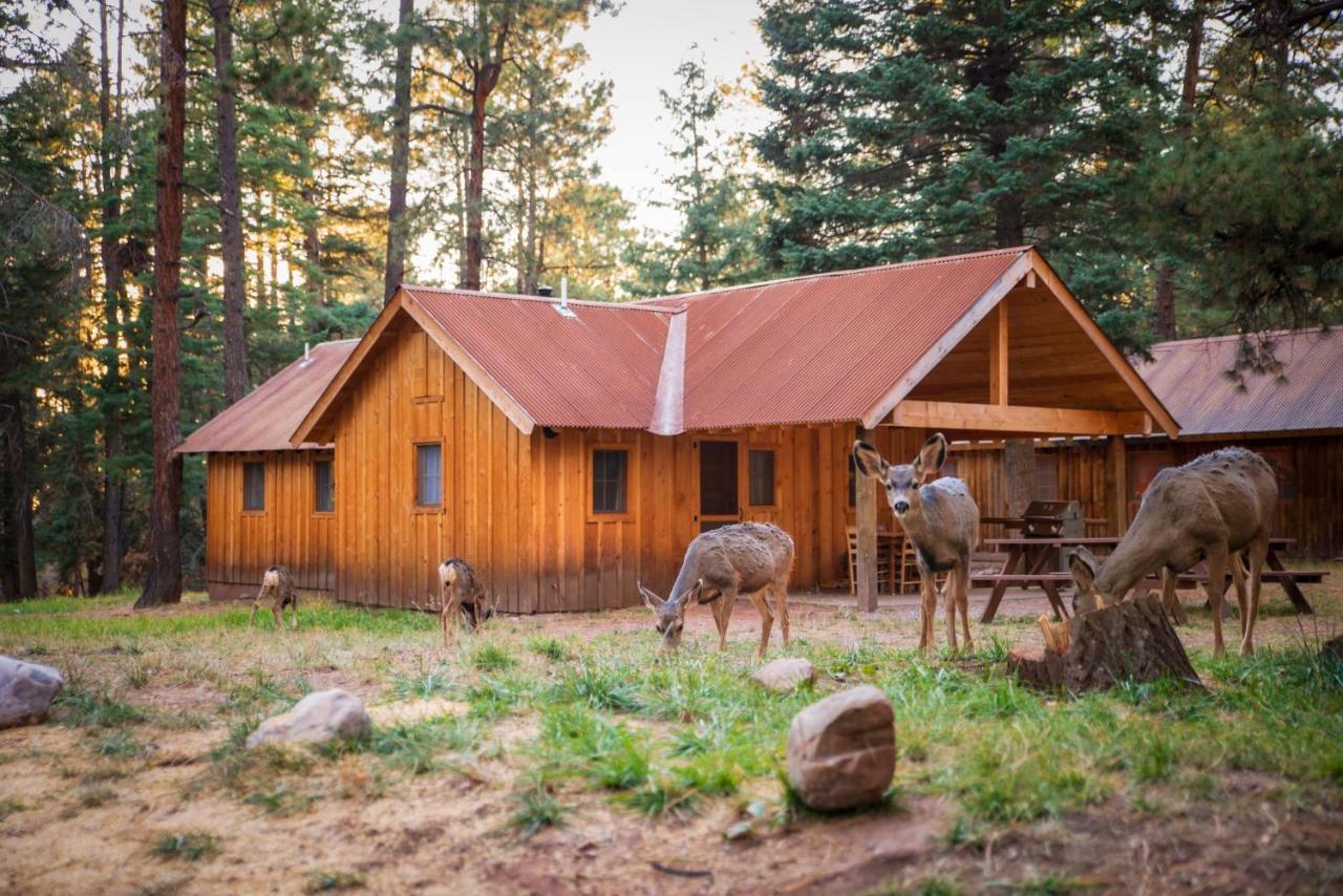 Corkins Lodge Chama Luaran gambar